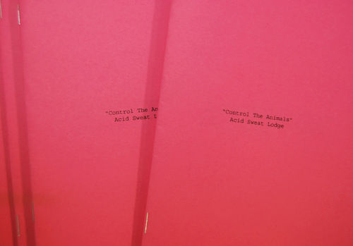 Acid Sweat Lodge "Control The Animals" Report Summer 2010