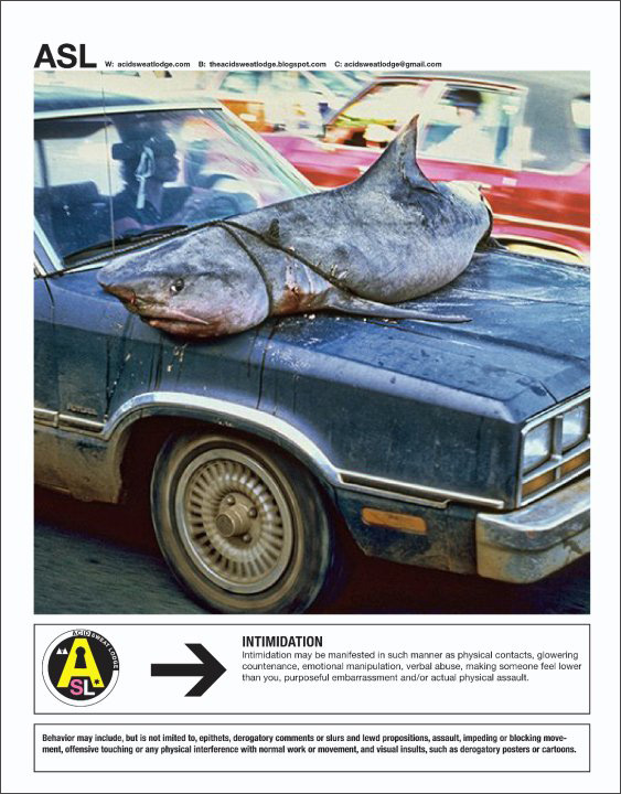 Acid Sweat Lodge Quarterly Report Summer 2009