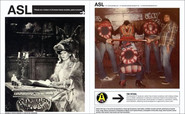 Acid Sweat Lodge Quarterly Report Winter 2009